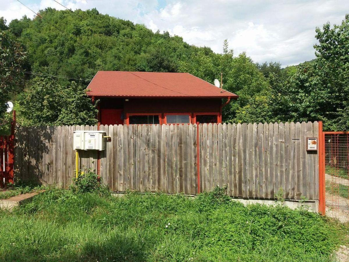 Canadian House Sărata-Monteoru Екстериор снимка